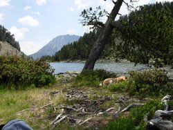 DSCN4573.jpg