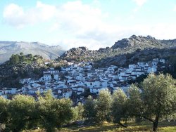 100_2340.jpg