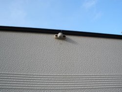 PC030277.jpg