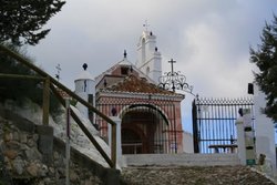 IMG_5270.jpg