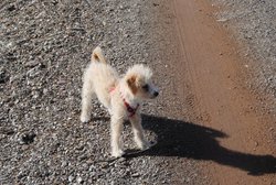 DSC_0007.jpg