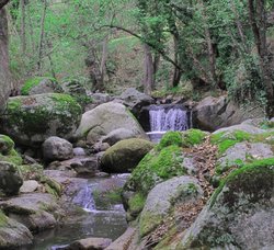 IMG_3595 copy.jpg