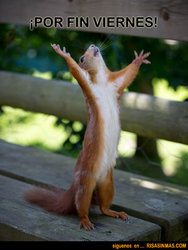 por-fin-es-viernes-rsm.jpg