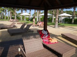 DSCN9311.jpg