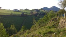DSC_2135.jpg