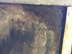 image(6).jpeg