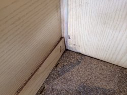 image(12).jpeg