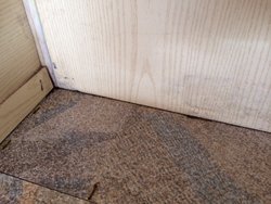 image(13).jpeg