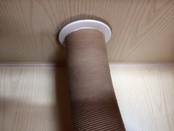 image(15).jpeg