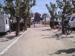 IMG470.jpg
