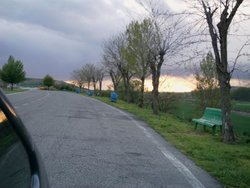 IMAG0179.jpg