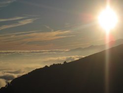 IMG_6956.jpg