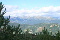 114.jpg