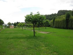 IMG_5735.jpg