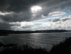 IMG_5894.jpg