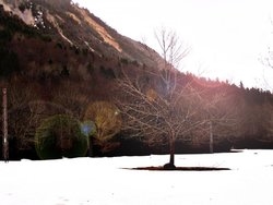 100_8196.jpg