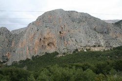 IMG_5406.jpg