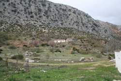 IMG_5436.jpg