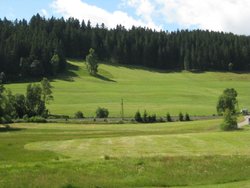 IMG_4345.jpg