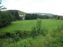 IMG_4374.jpg