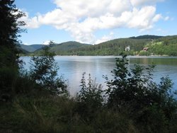 IMG_4383.jpg