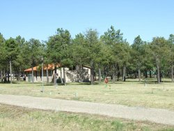 DSCF7338.jpg