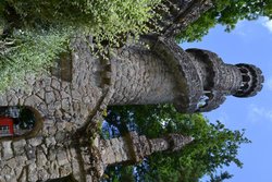DSC_0349.jpg