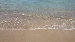 DSC_0065.jpg