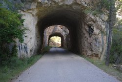 DSC_0079.jpg
