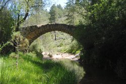 DSC_0124.jpg