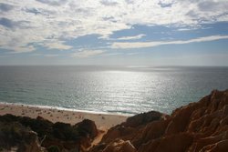 IMG_7786.jpg