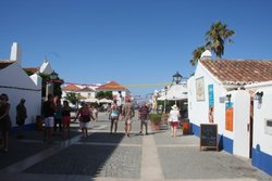 IMG_7800.jpg