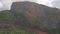 DSC_0005.jpg