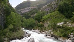 DSC_0009.jpg