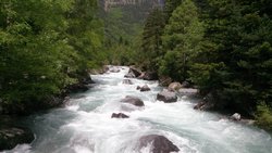 DSC_0021.jpg