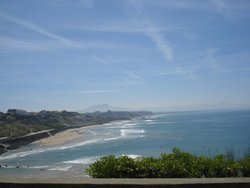 DSC08322.jpg