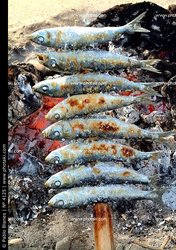 espeto-de-sardinas-en-las-playas-de-benalmadena-malaga-andalucia-espana_4125.jpg