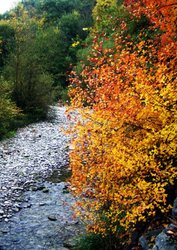 100_1828.jpg