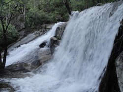 DSC04360.jpg