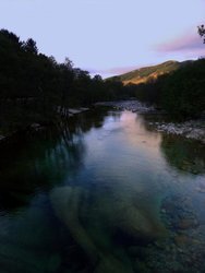 DSC03082.jpg