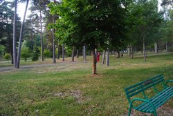 DSC_0022.jpg DSC_0022.jpg