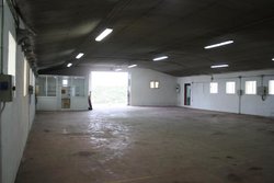 IMG_8682.jpg