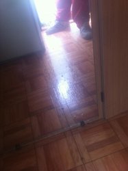 la foto 2.jpg la foto 2.jpg