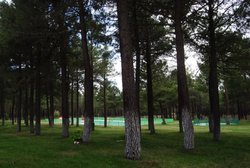 DSC_0131.jpg