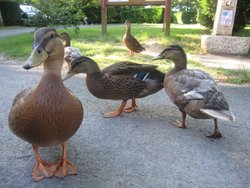 IMG_0140.jpg