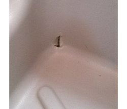 rotura_baño_01.jpg