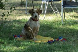 IMG_1797.jpg