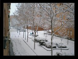 nevada con marco 1.jpg