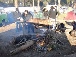 DSC00365.jpg