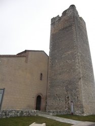 CIMG2625.jpg